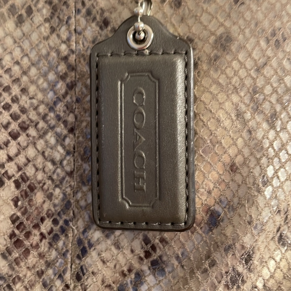 Beautiful Pre Loved Python Coach - image 2